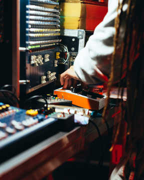 roots_in_the_woods (2)